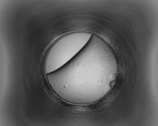 X0000086730347200704130750
