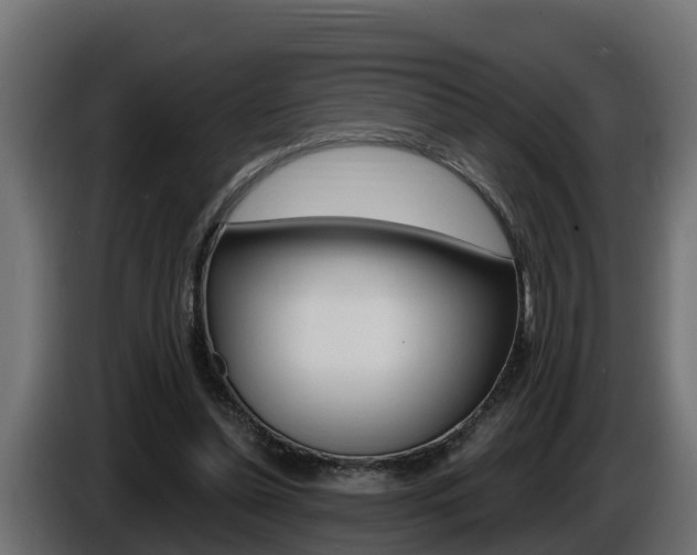 X0000086730348200704130750