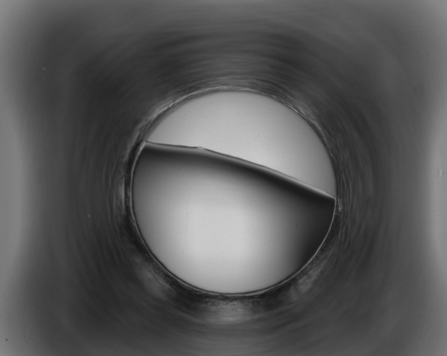 X0000086730349200704130750