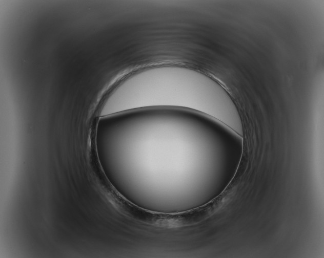 X0000086730350200704130750