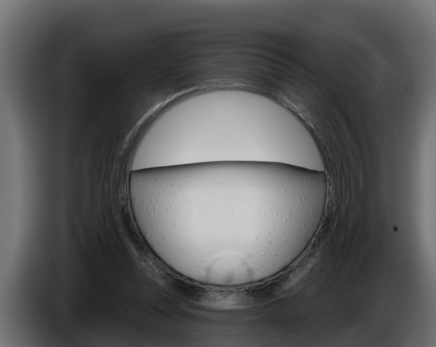 X0000086730351200704130750
