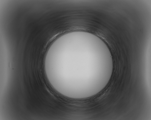 X0000086730352200704130750