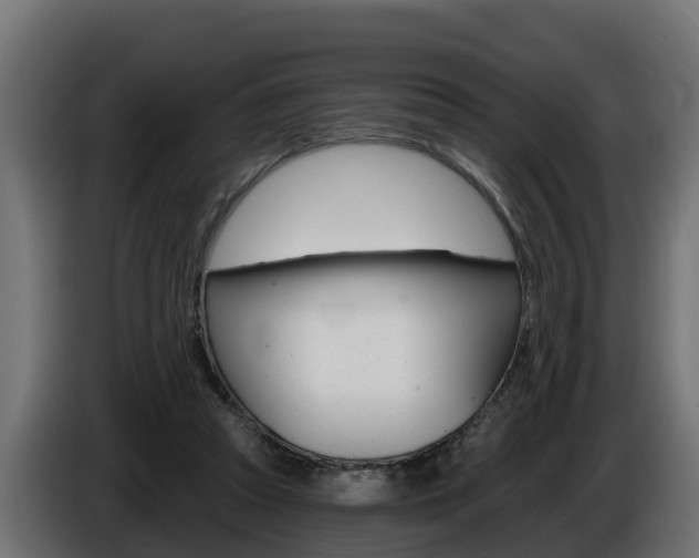 X0000086730353200704130750