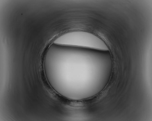 X0000086730354200704130750