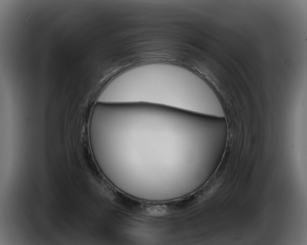 X0000086730355200704130750