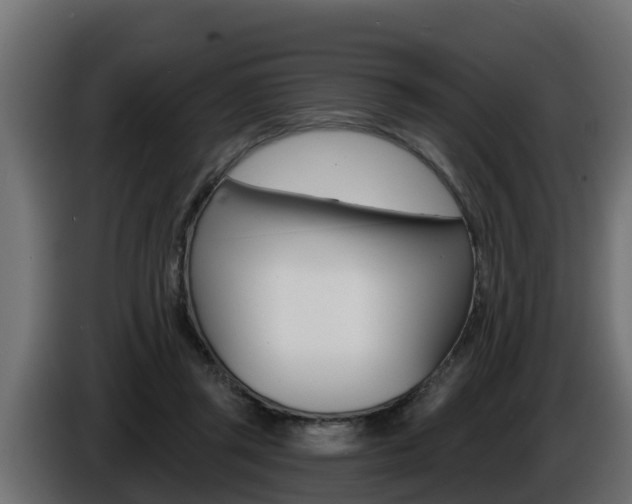 X0000086730357200704130750