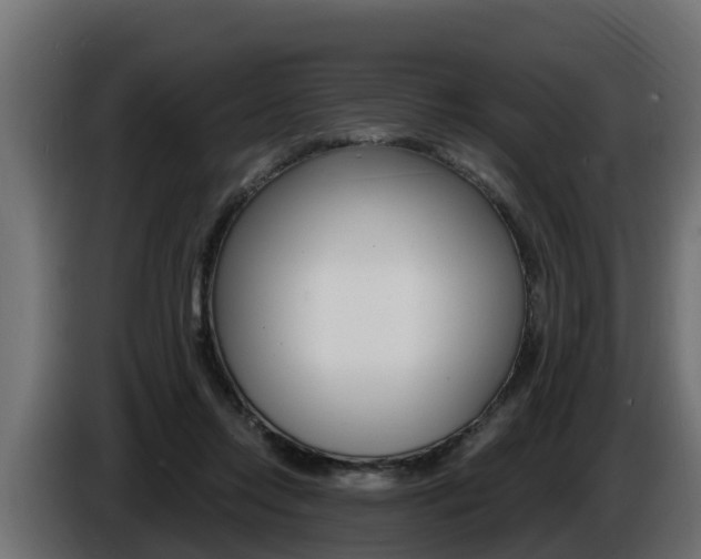 X0000086730358200704130750