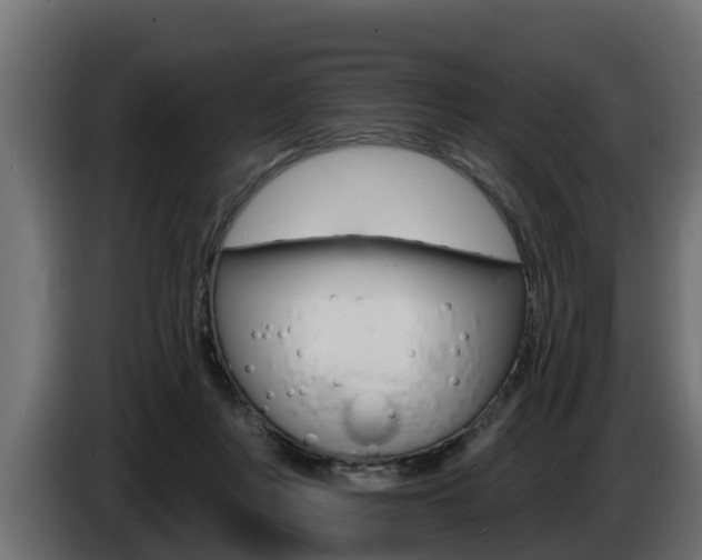 X0000086730359200704130750
