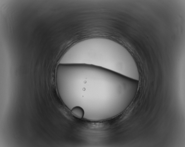 X0000086730361200704130750