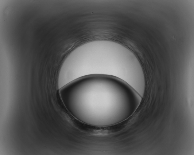 X0000086730362200704130750