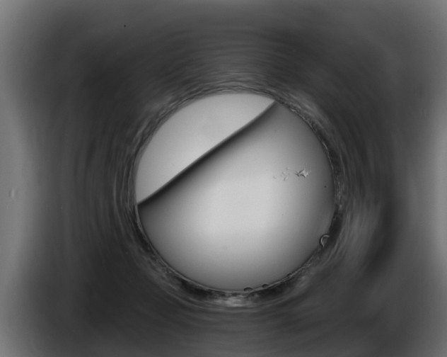 X0000086730365200704130751