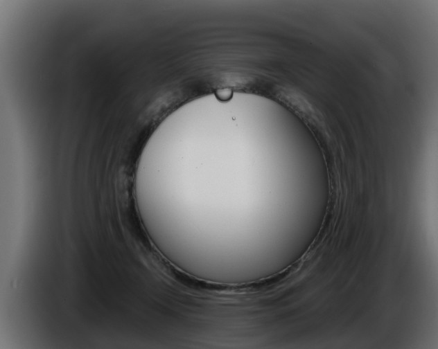 X0000086730366200704130751