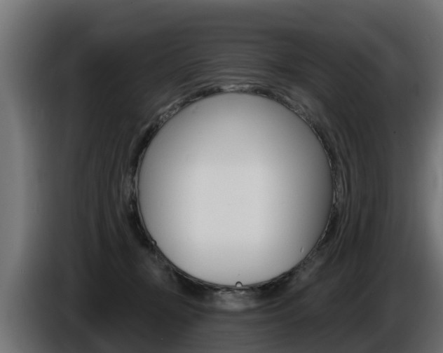 X0000086730367200704130751