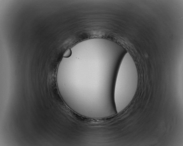 X0000086730369200704130751