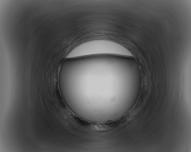 X0000086730372200704130751