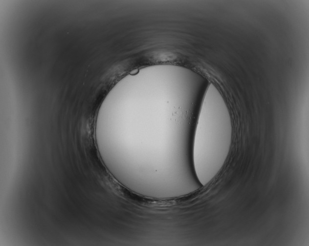 X0000086730373200704130751