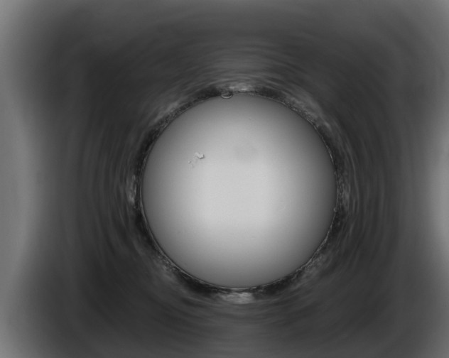 X0000086730374200704130751