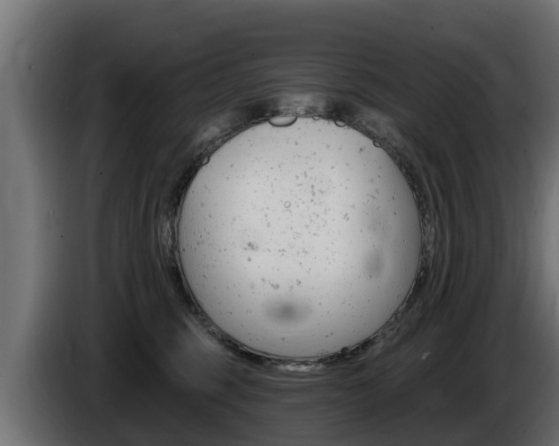 X0000086730375200704130751