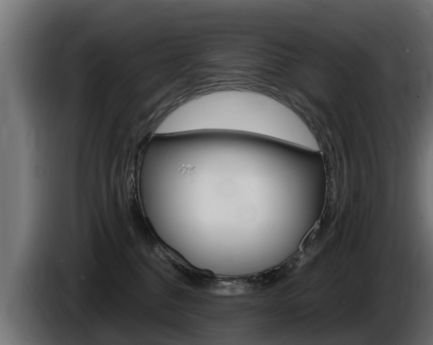 X0000086730376200704130751