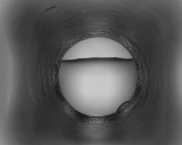 X0000086730377200704130751