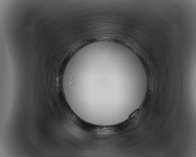 X0000086730378200704130751
