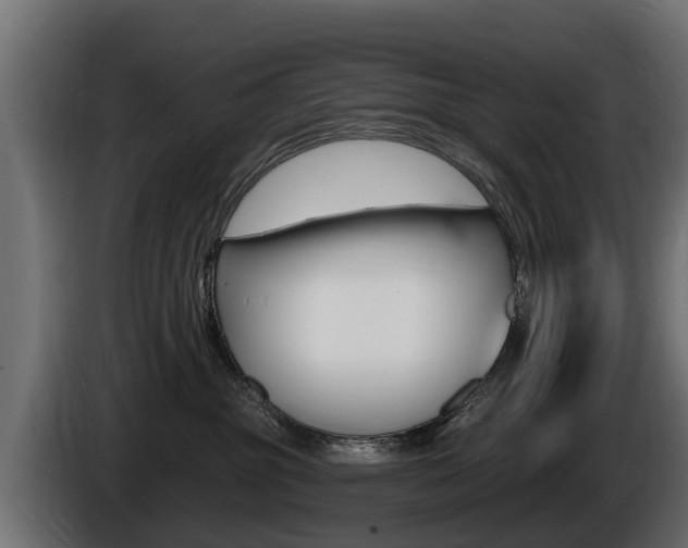 X0000086730381200704130751