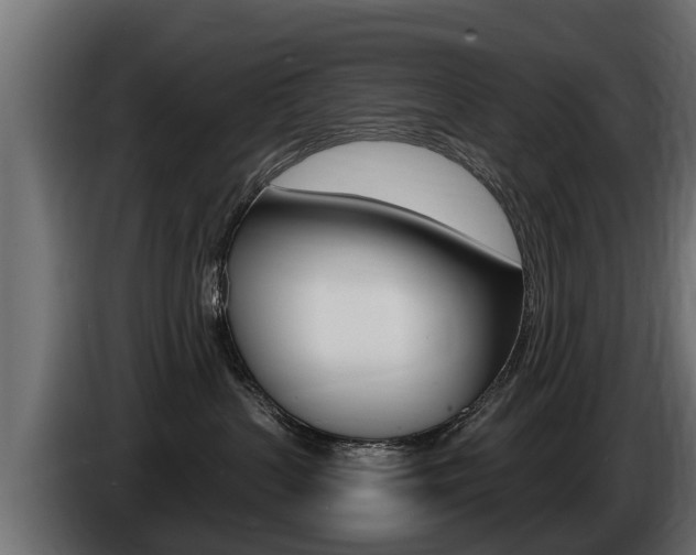 X0000086730383200704130751
