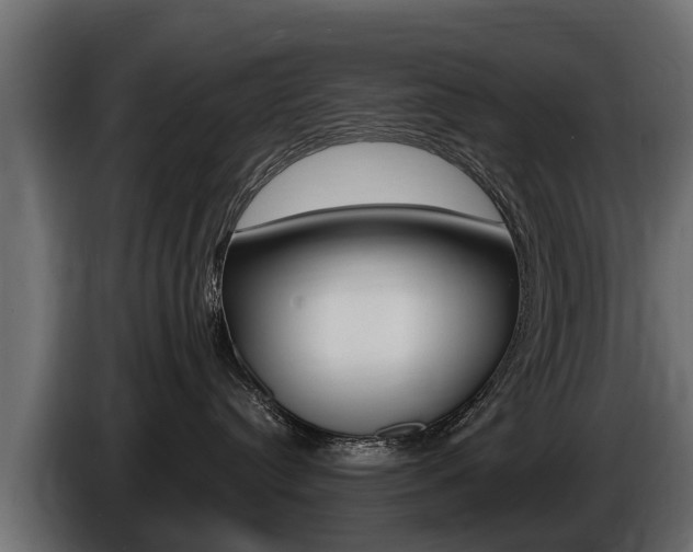 X0000086730384200704130751
