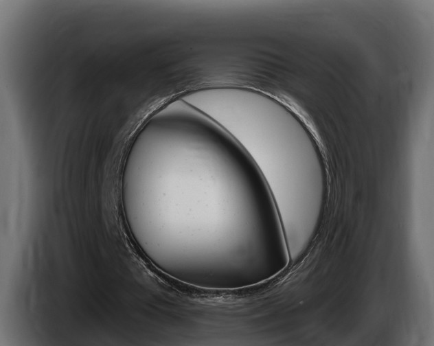 X0000086730385200704130750