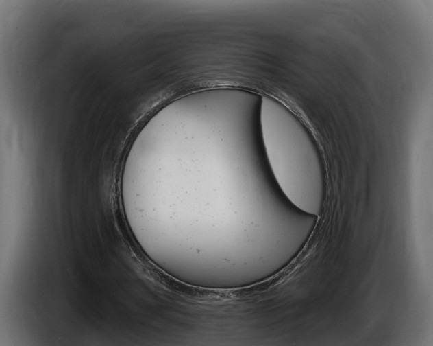 X0000086730386200704130750