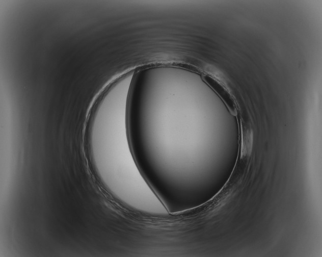 X0000086730387200704130750