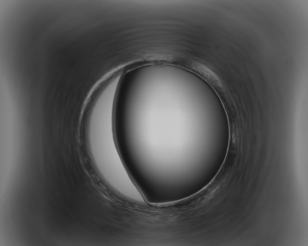 X0000086730388200704130750