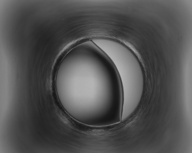 X0000086730391200704130750