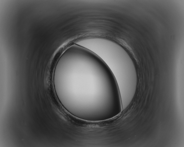 X0000086730392200704130750