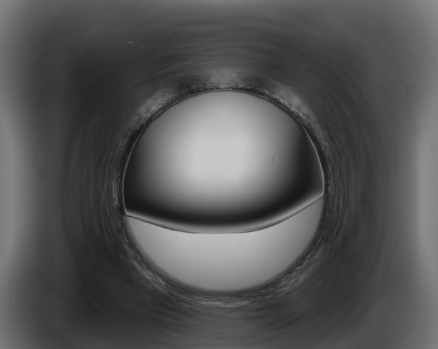 X0000086730393200704130750
