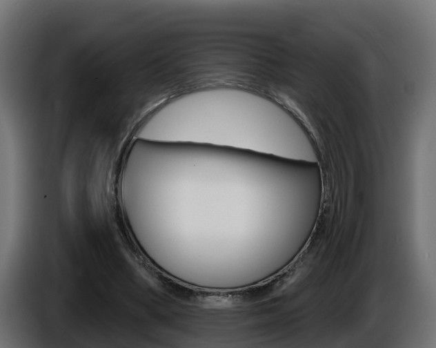X0000086730394200704130750