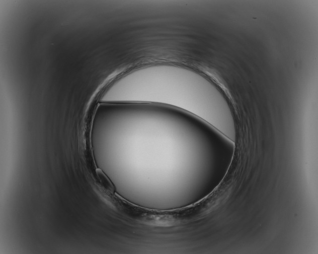 X0000086730395200704130750