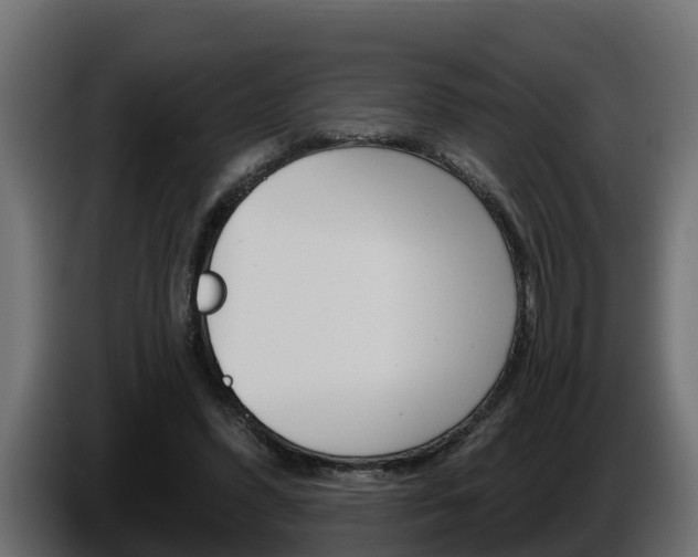 X0000086730396200704130750