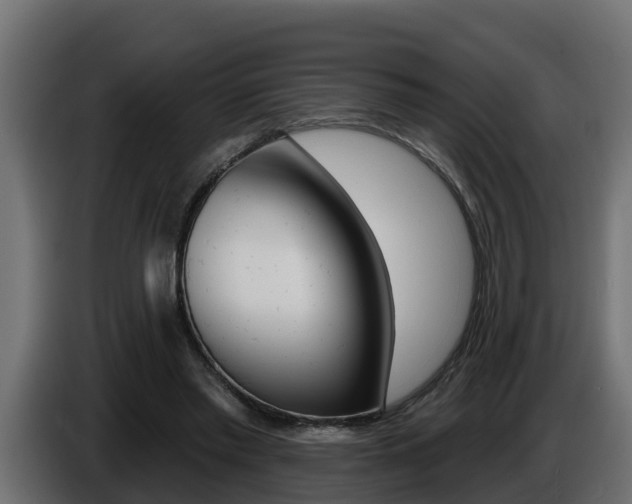 X0000086730397200704130750