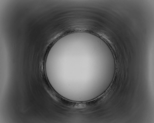X0000086730398200704130750