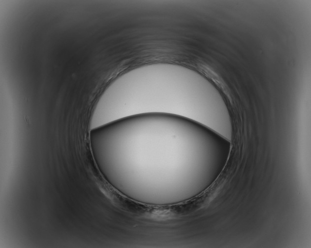 X0000086730401200704130750