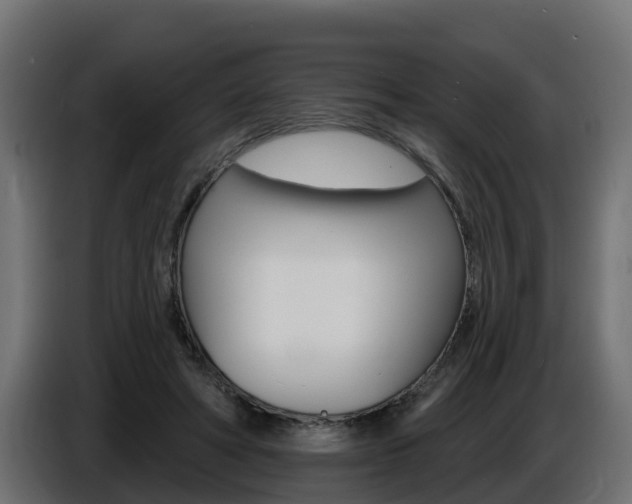X0000086730402200704130750