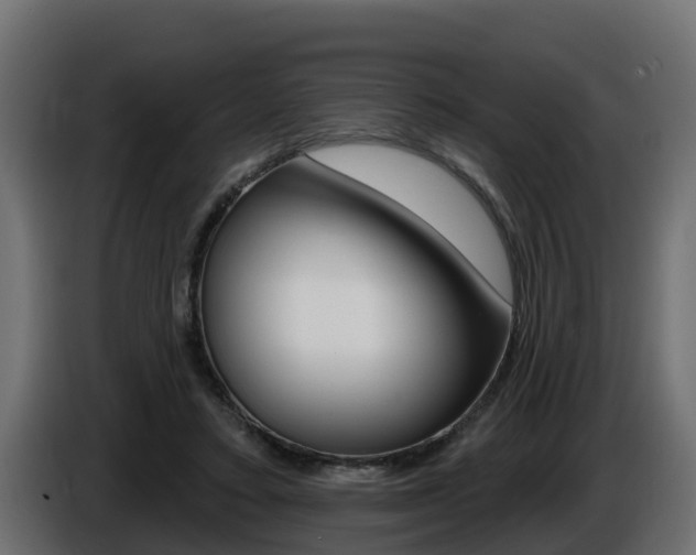 X0000086730403200704130750