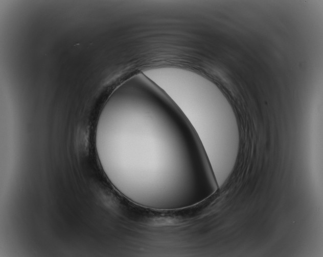 X0000086730404200704130750