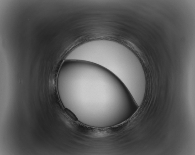 X0000086730405200704130750