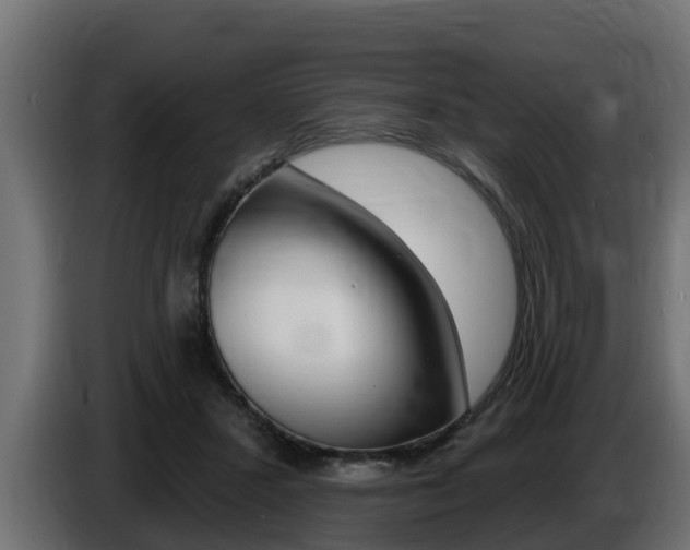 X0000086730407200704130750