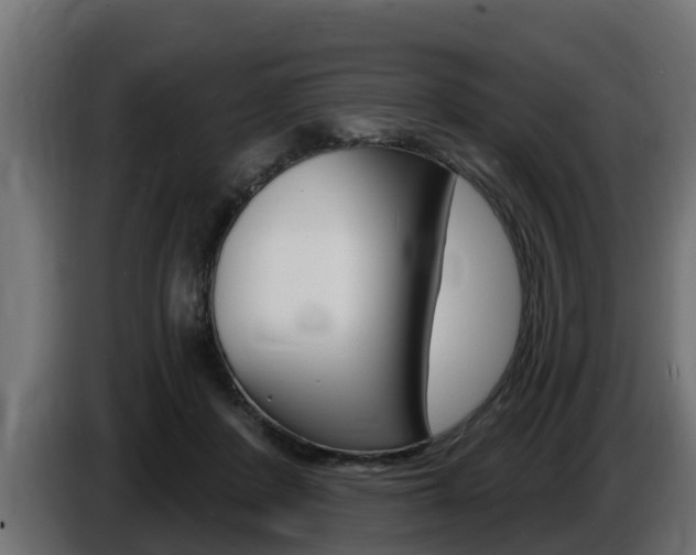 X0000086730408200704130750