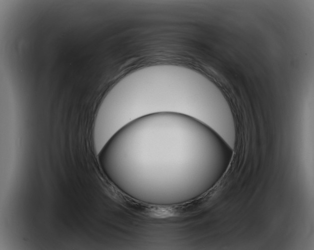 X0000086730409200704130750