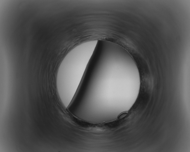 X0000086730412200704130750