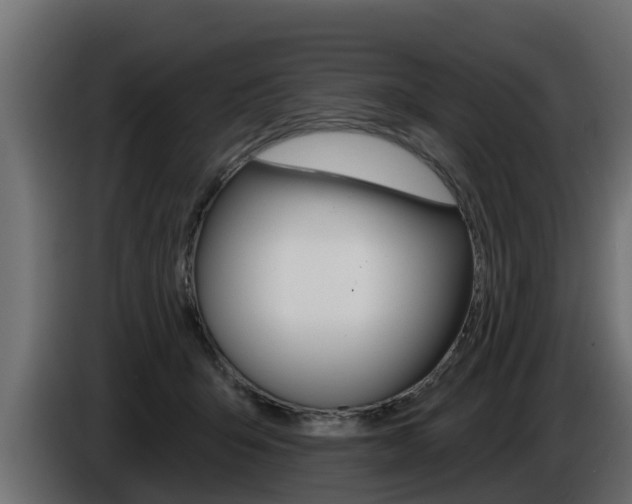 X0000086730415200704130750